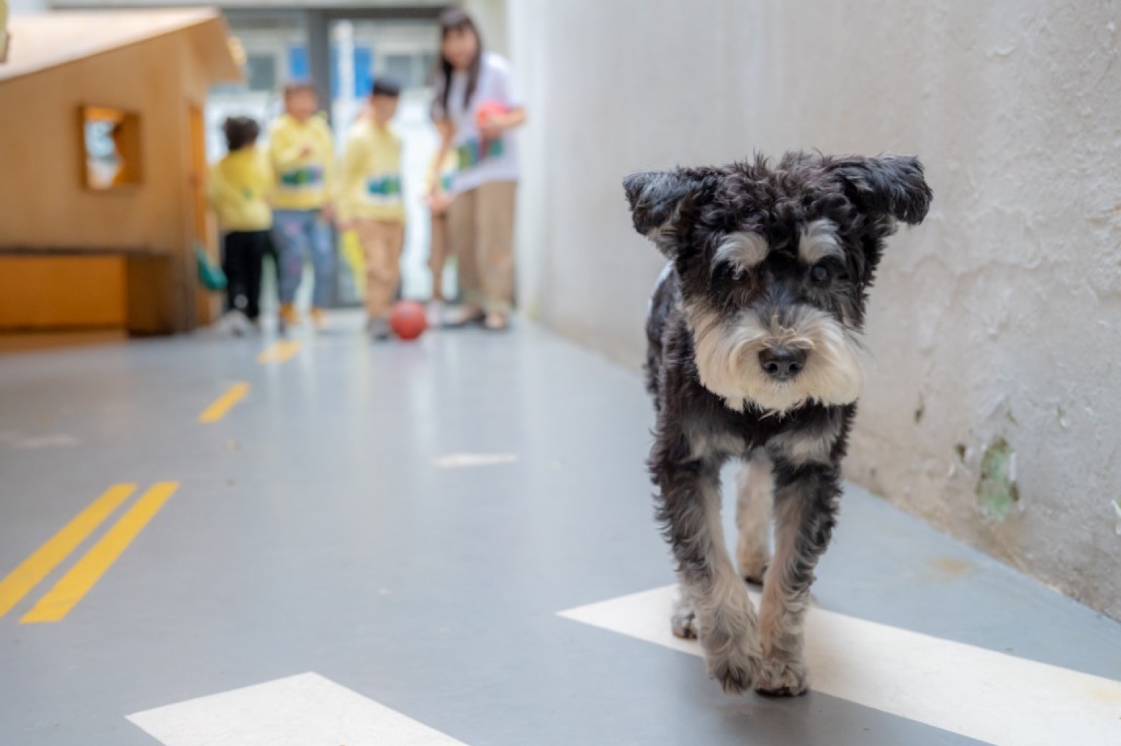 蒙特梭利幼兒園 自然風格畢業照