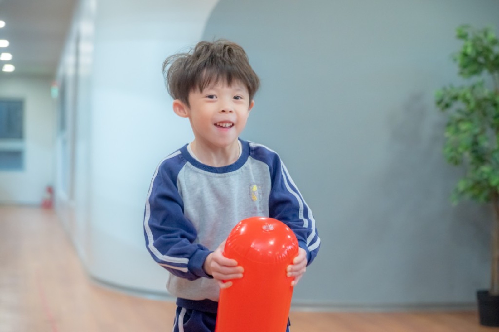 櫻花樹學士照 幼兒園畢業照自然生動
