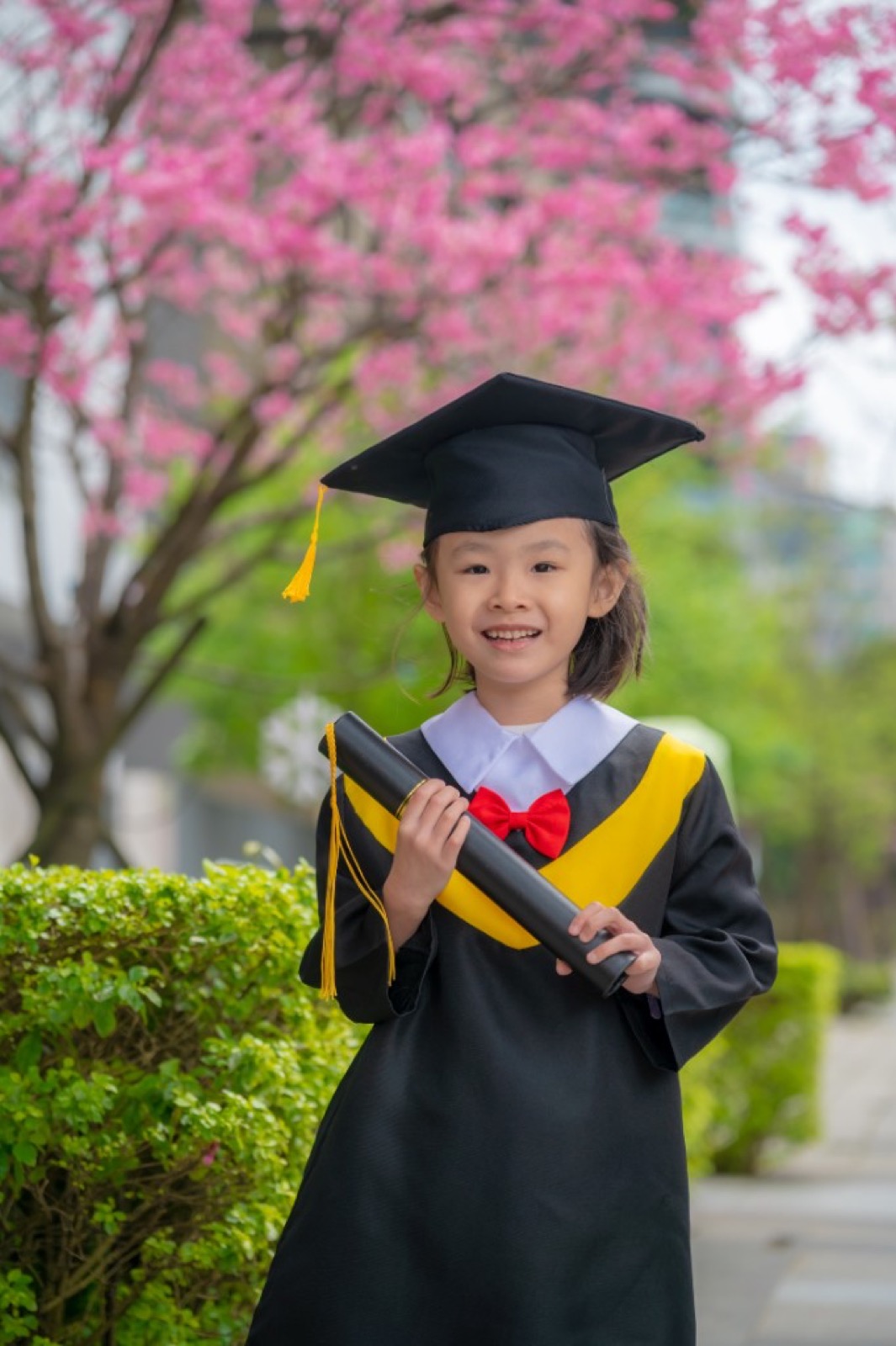 幼兒園畢業照 櫻花樹前學士服活潑