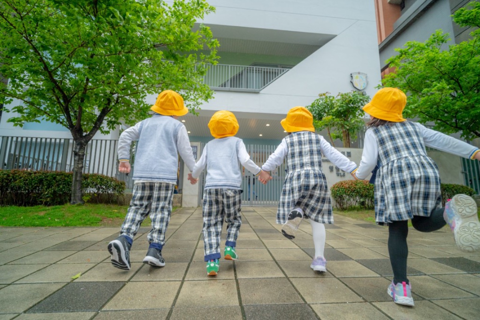 幼兒園畢業照 家庭合影戶外草地