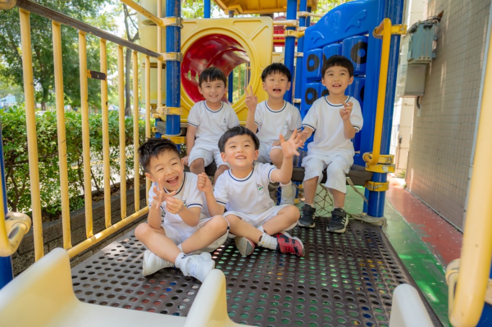 茶道課程 × 綠意校園畢業照 台中